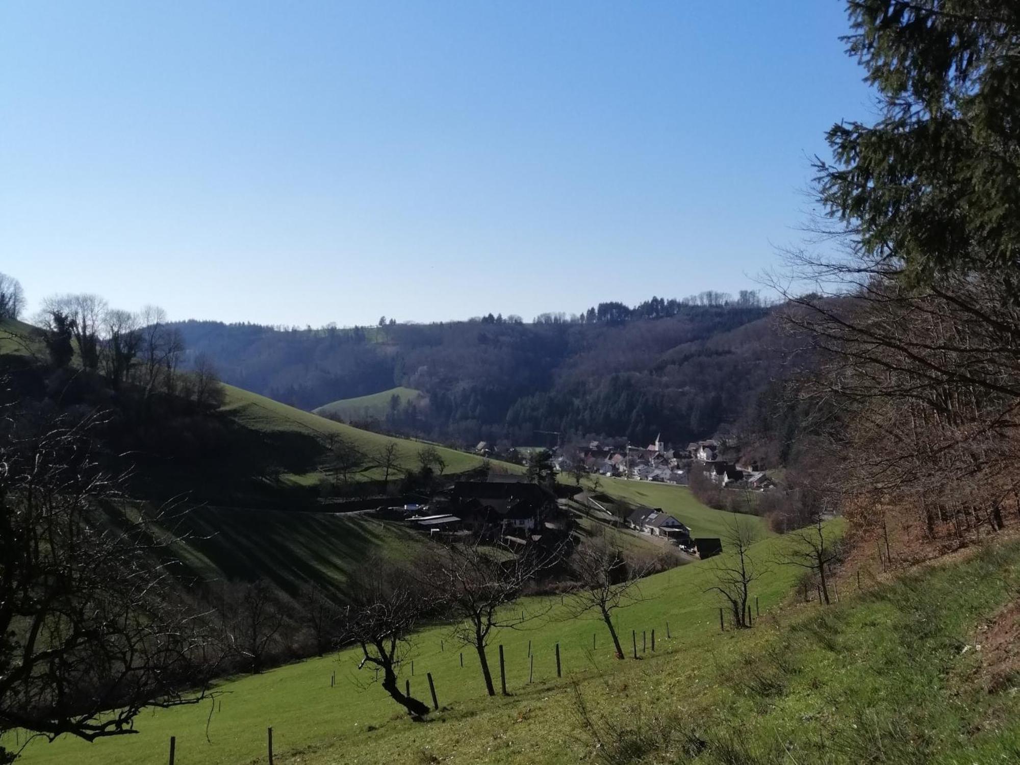 Ferienwohnung Am Spielberg Freiamt Extérieur photo